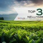 Top 3 Resorts in Nelliyampathy for Corporate Tours and Day Outings