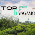 Top 5 Resorts in Vagamon for Corporate Tours and Day Outings