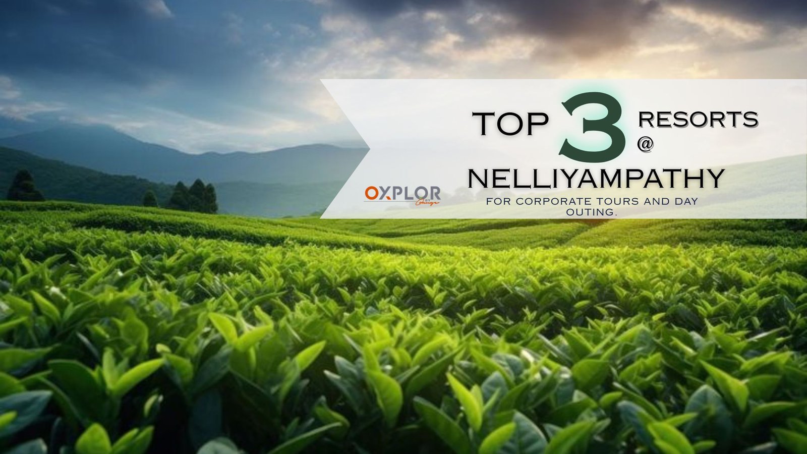 Top 3 Resorts in Nelliyampathy for Corporate Tours and Day Outings