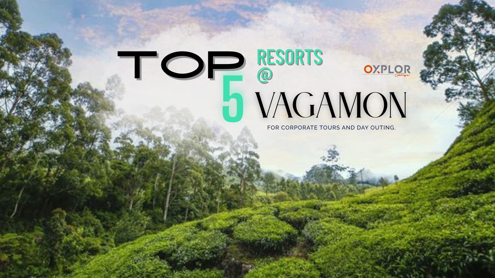 Top 5 Resorts in Vagamon for Corporate Tours and Day Outings