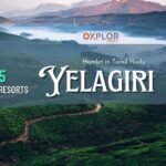 Top 3 Resorts in Yelagiri for Corporate Tours and Day Outing