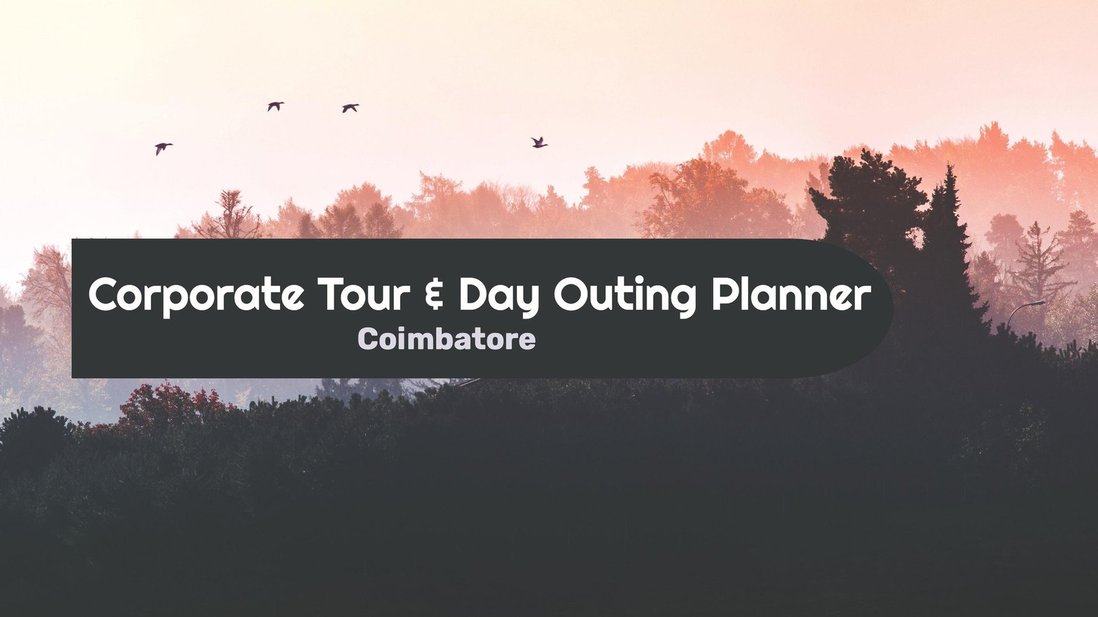Corporate Tour & Day Outing Planner coimbatore