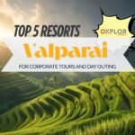 Top 5 Resorts in Valparai for Corporate Tours and Day Outings
