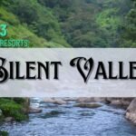Top 3 Resorts in Silent Valley for Corporate Tours and Day Outings