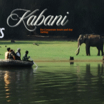 Top 5 Resorts in Kabini for Corporate Tours and Day Outing