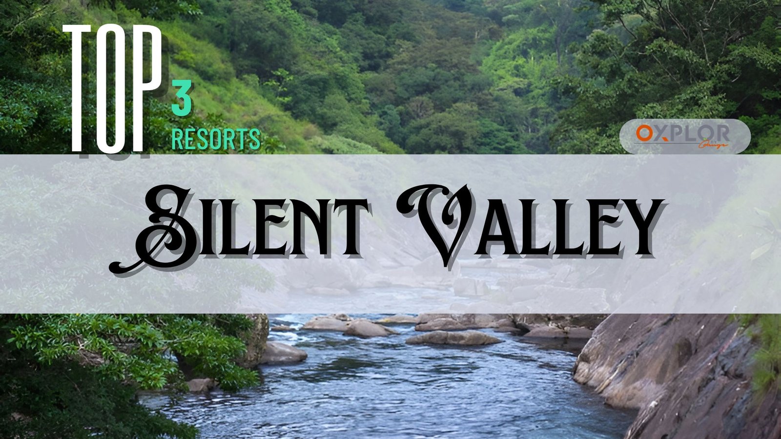 Top 3 Resorts in Silent Valley for Corporate Tours and Day Outings