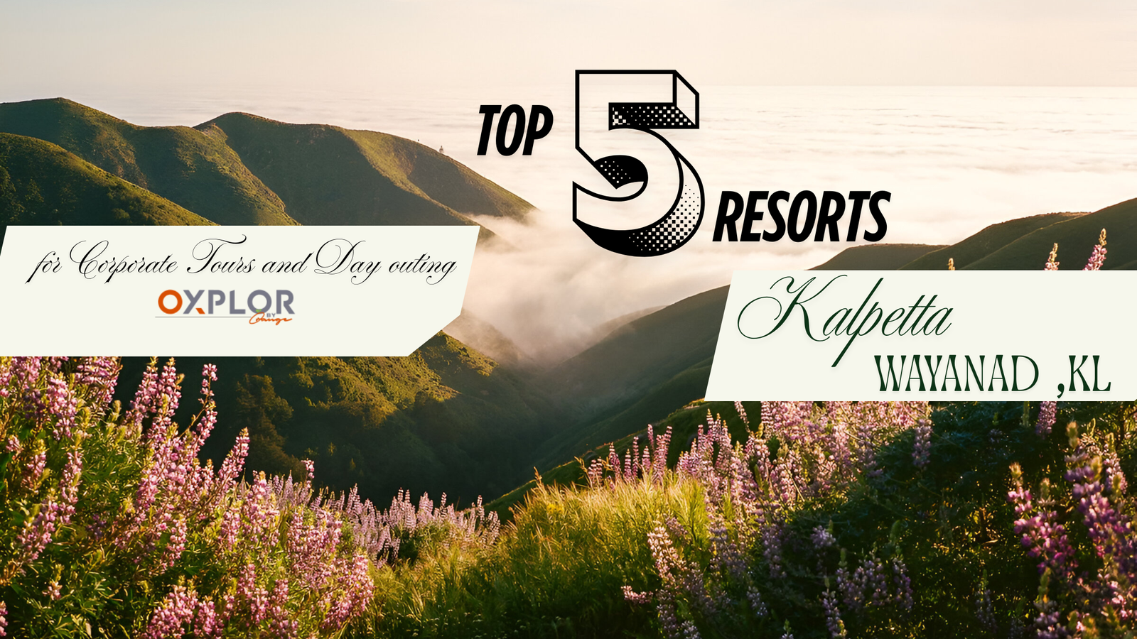 Top 5 Resorts in Kalpetta for Corporate Tours and Day Outing