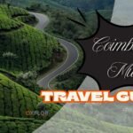 An Ultimate Guide to the Coimbatore to Munnar Distance: Road Trip Tips and Travel Guide