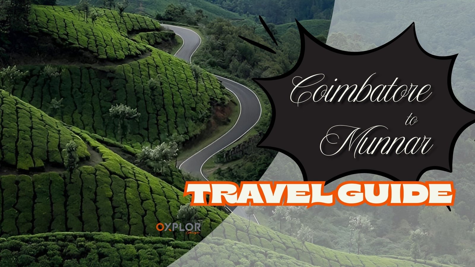 An Ultimate Guide to the Coimbatore to Munnar Distance: Road Trip Tips and Travel Guide